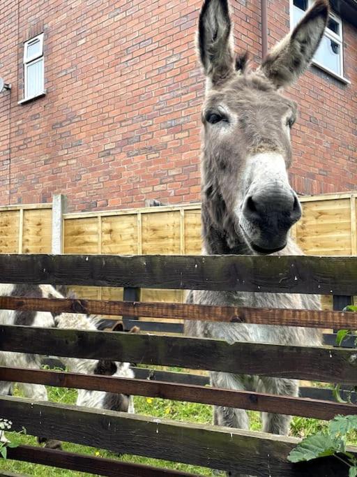 4 Bedroom - Sleep 9 Home In Cheadle Staffordshire - Alton Towers Polar Express Dimmingsdale Peak District Trentham Gardens Water World Екстериор снимка